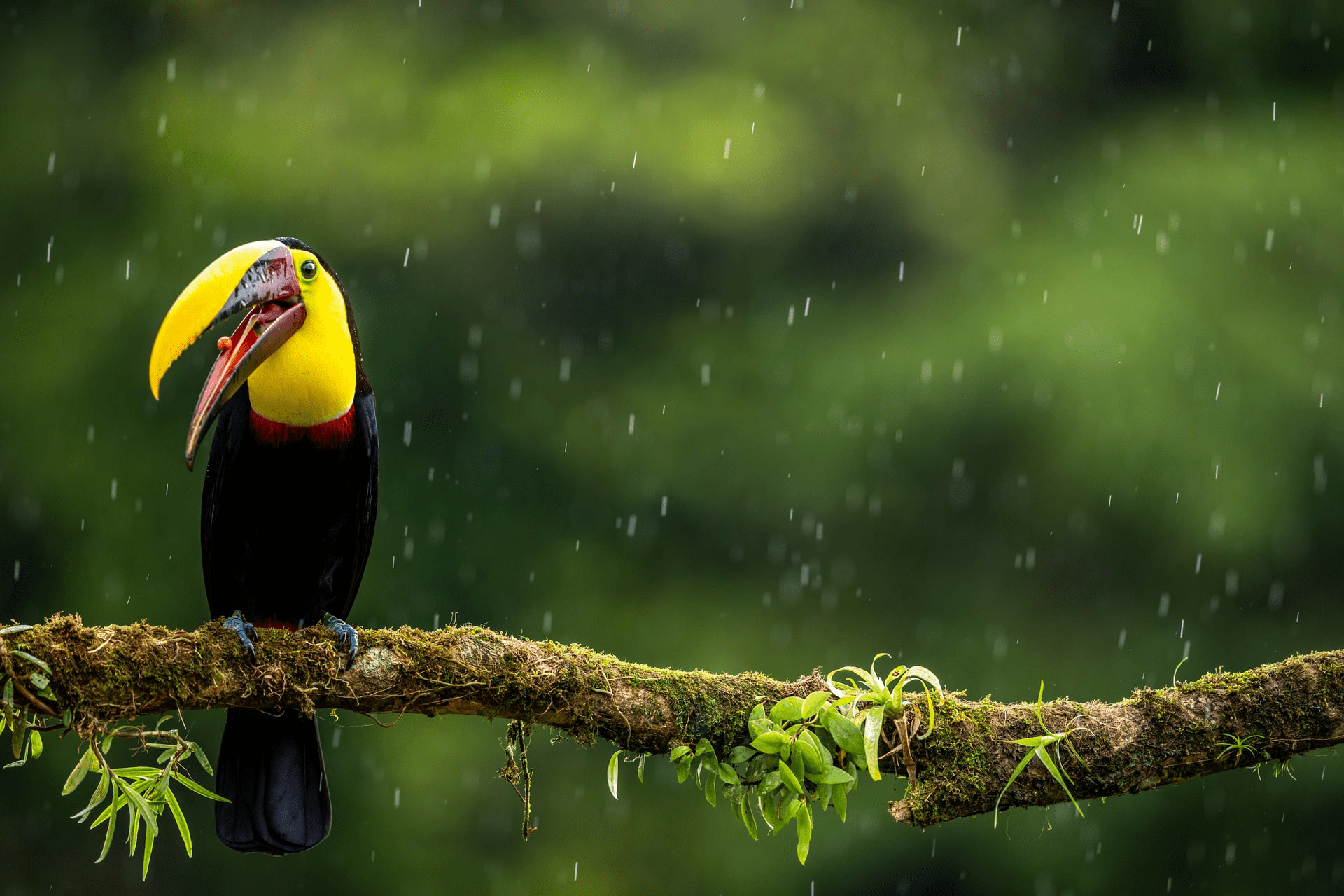 Guanacaste - Costa Rica All-Inclusive Vacation Packages and Promotions