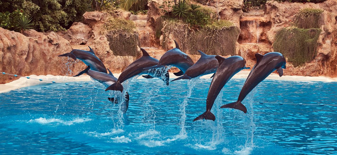 Costa Rica All-Inclusive Timeshare Vacation Club Promotions
